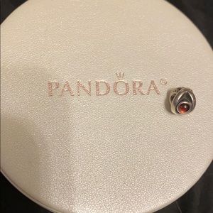 January Birthstone Pandora Charm